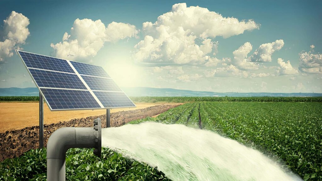 solar-panel-in-rice-field-bqrdib0oy2tmoyfq